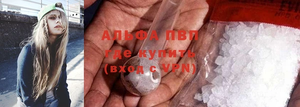 шишки Краснотурьинск