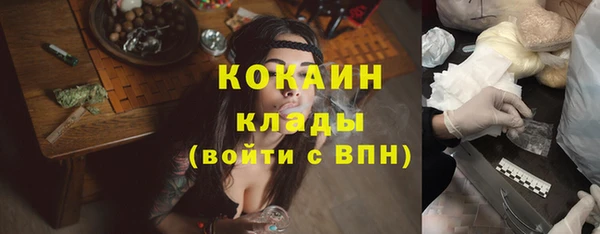 шишки Краснотурьинск