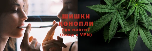 дживик Корсаков
