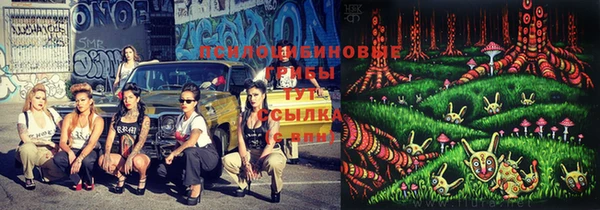 бутират Козельск