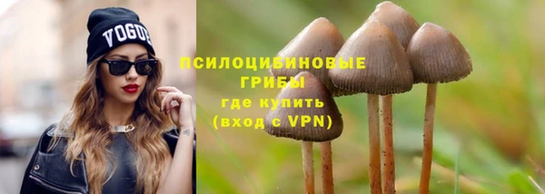 мдпв Коряжма