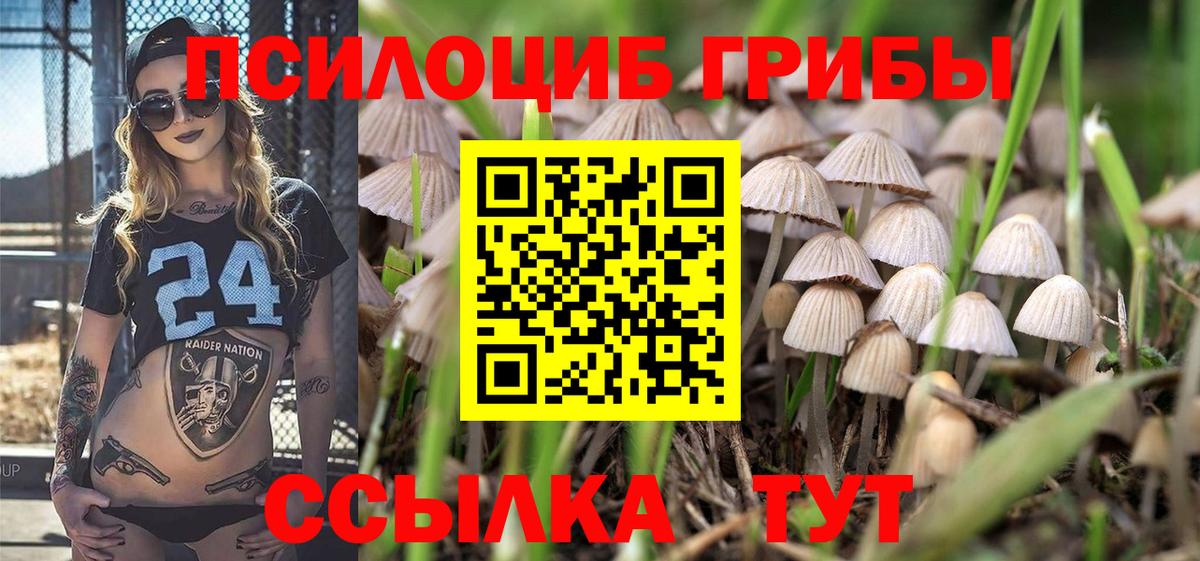 Псилоцибиновые грибы мицелий  Вход с VPN  Краснокамск  Галлюциногенные грибы Psilocybine cubensis 